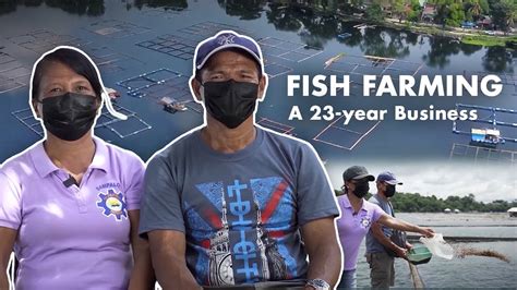 Fish Farming The Story Behind A Year Fish Farming Business In The