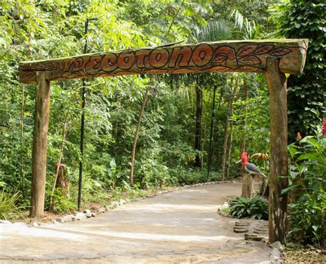 Programação especial voltada ao Meio Ambiente inicia sábado 5 no