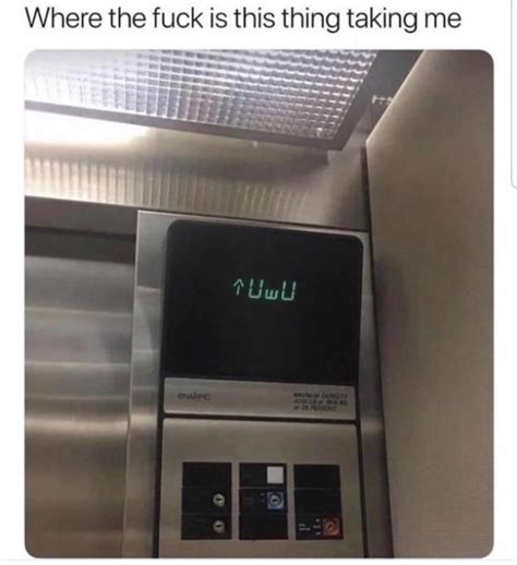 Femboy Elevator Femboy Elevator R Gay