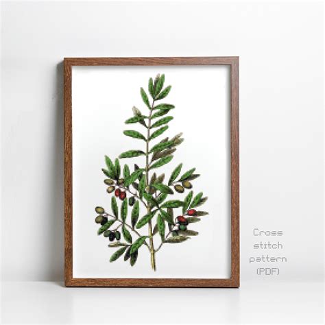 Botanical Olives Cross Stitch Pattern Vintage Illustration Vegetation