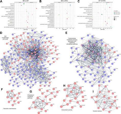 Uterine Fluid Extracellular Vesicles Proteome Is Altered During The