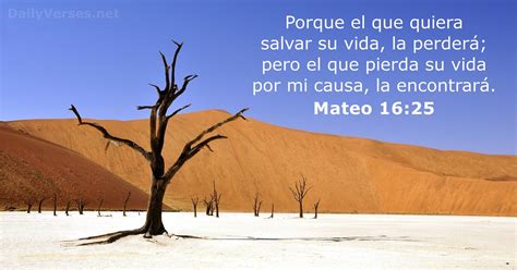 Mateo Vers Culo De La Biblia Dailyverses Net