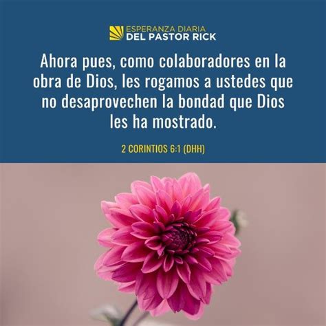 El Dios De Las Segundas Oportunidades Una Historia De Esperanza Y