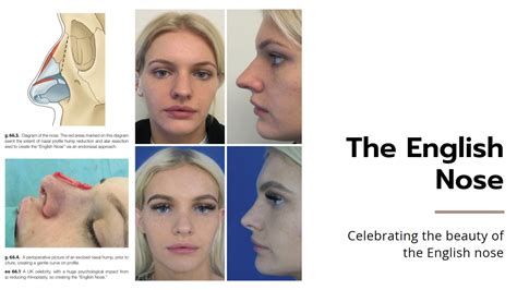 The English Nose