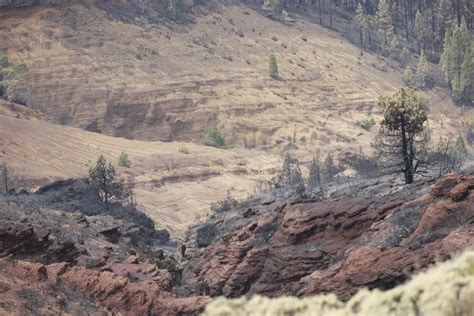 La Superficie Quemada En Tenerife Convierte Al Incendio En El Peor De