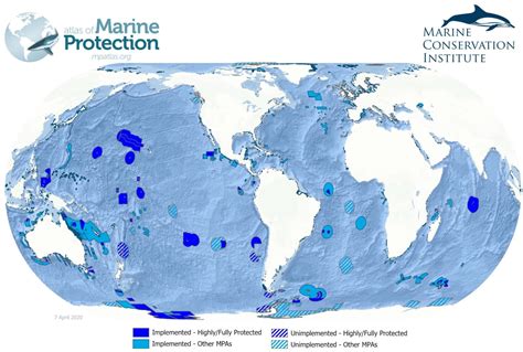 World Oceans Day Protecting The Seas Protecting Our Future Through