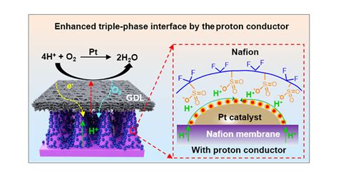 Enhanced Triple Phase Interface In Pemfc By Proton Conductor Absorption