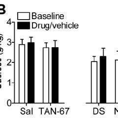 The Dor Agonist Tan Does Not Affect Locomotion Or Sucrose