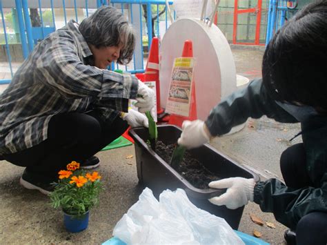 分園春の部第二回ヤギのクリーンパトロールと花壇づくり開催！202449 東板橋公園｜板橋こども動物園と徳丸ヶ原公園｜こども