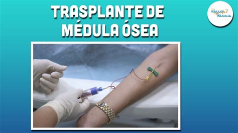 Transplante De M Dula Osea Youtube