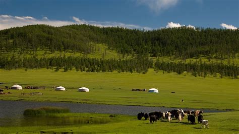 Circuito Mongolia Infinitos Paisajes De Mongolia Evaneos