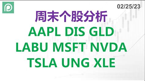 美股分析 AAPL DIS GLD LABU MSFT NVDA TSLA UNG XLE 周末个股分析 YouTube