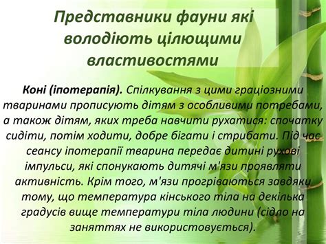 Зоотерапія або анімалотерапія - презентация онлайн