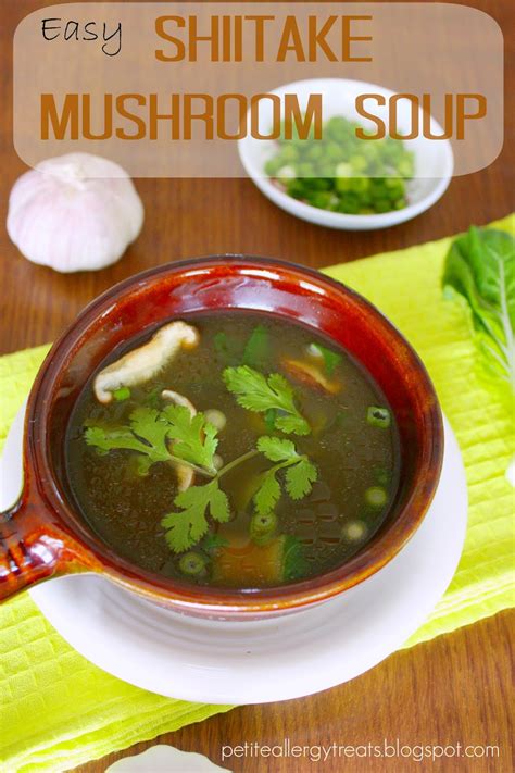 Shiitake Mushroom Soup - Petite Allergy Treats