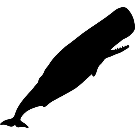 Blue Whale Silhouette at GetDrawings | Free download