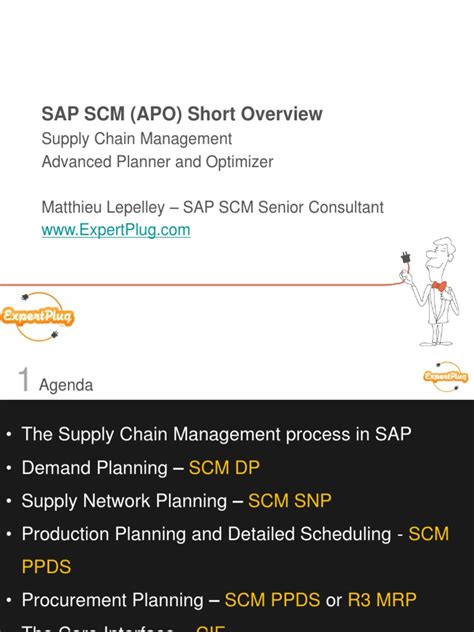 Sap Scm Apo Overview Pdf Supply Chain Management Supply Chain