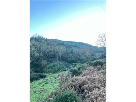 Farm In Serra Do A Or Aldeia Das Dez