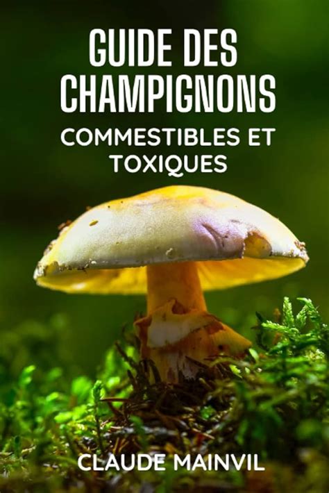 Guide Complet Pour Appr Cier Les Coulemelles Nettoyage Pr Paration Et