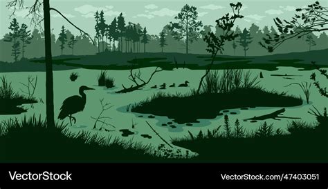 Horizontal Swamp Landscape Marsh Silhouette Vector Image