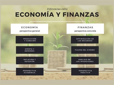 Qu Contienen Las Finanzas Explorando Sus Componentes Clave