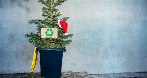 Can You Recycle Wrapping Paper How Best To Dispose Of Your Christmas