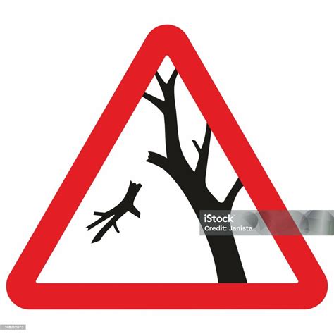caution danger  falling branches trees red triangle vector stock