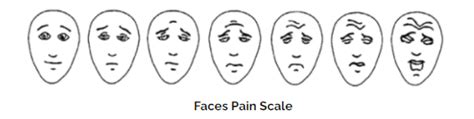 Faces Pain Scale A New Approach To The Wong Baker Rating Faces 2023