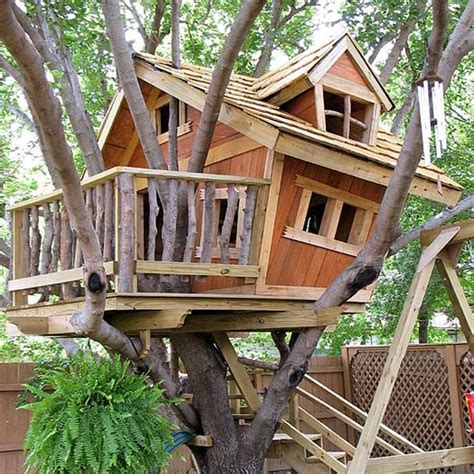 Tree House Designs And Plans Design Decorating - Image to u