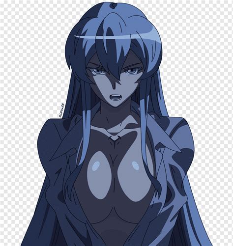 Découvrir 89 imagen akame ga kill anime vs manga fr thptnganamst edu vn