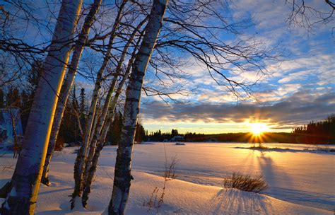 Free Images Tree Nature Branch Snow Cold Cloud Sky Sun Sunrise Sunset Sunlight