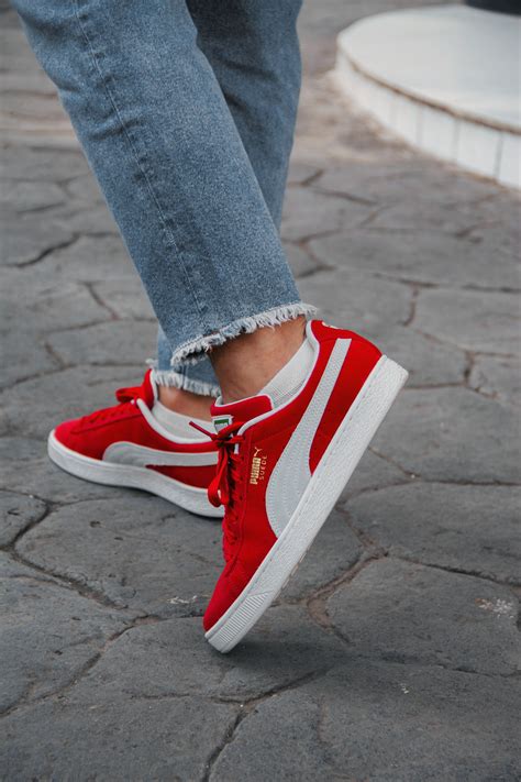 71+ Best Free Puma Stock Photos & Images · 100% Royalty-Free HD Downloads