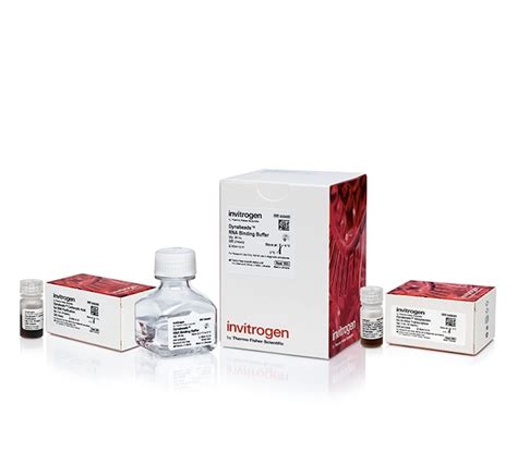 Dynabeads™ In Vitro Transcription And Rna Purification Kit