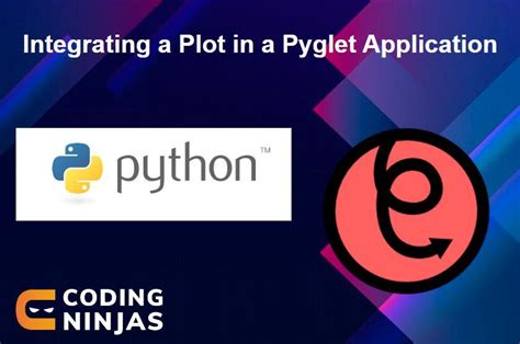 integrating  plot   pyglet application naukri code