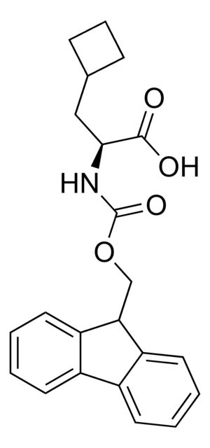 Cyclobutyl Sigma Aldrich