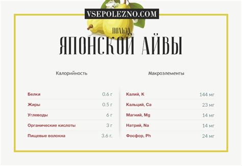 Японская айва: описание, польза и вред для здоровья, как использовать, фото