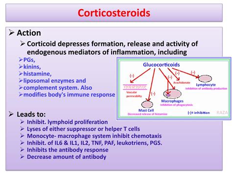 Ppt Topically Applied Corticosteroids Powerpoint Presentation Free