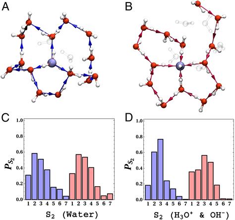 Proton Transfer Through The Water Gossamer PNAS