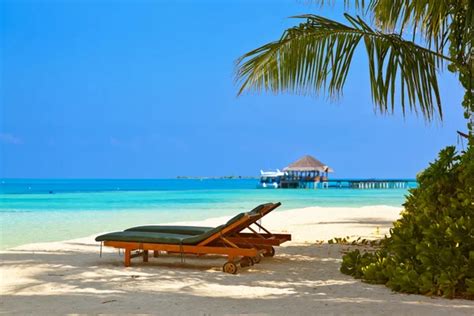 Sun Loungers On Maldives Beach Stock Photos Royalty Free Sun Loungers