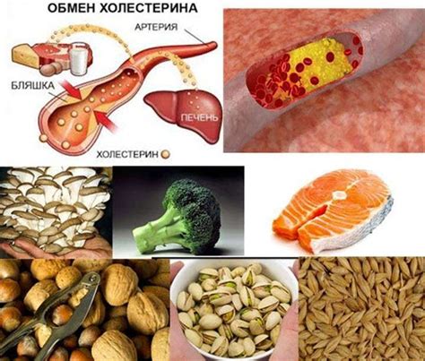 Продукты снижающие холестерин: фрукты, овощи, крупы
