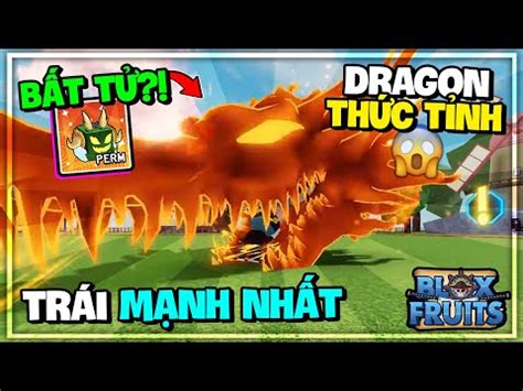 #2023 Roblox - Mình Sở Hữu DRAGON V2 Nhờ Lỗi Bug Này Trong Blox Fruits ...