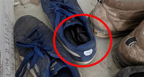 Check Them Terrifying Find Inside Running Shoes