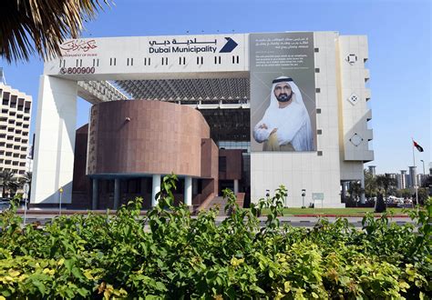 Dubai Municipality To Review Integrated Digital Programs And Services