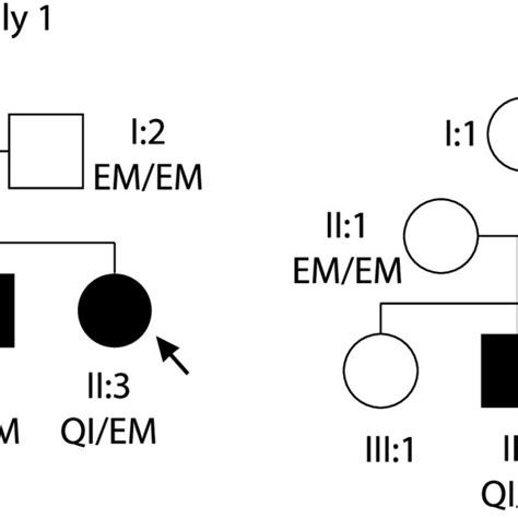 P E148Q Pyrin Promotes ASC Speck Formation And Cytokine Expression