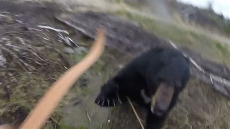 Bear Attacks Hunter Hunter Somehow Survives