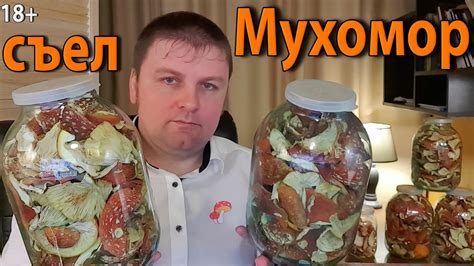 Мухомор. Польза мухомора. - YouTube