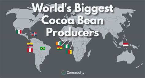 Cocoa Guide 2020 - Industry Insights and Price Trends - Commodity.com