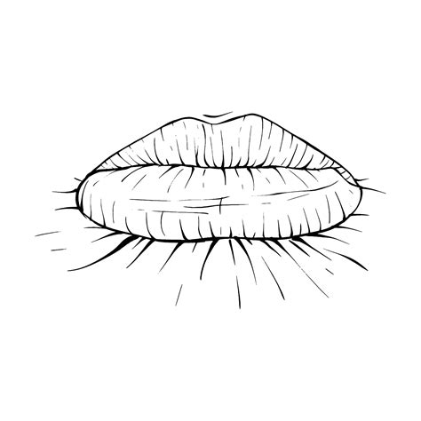 Vector lips sketch black and white 26301388 Vector Art at Vecteezy