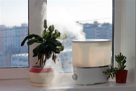 Thinking About A Humidifier This Winter? Here's What You Need To Know