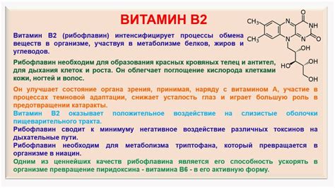189. Органическая химия. Тема 28. Витамины. Часть 7. Витамин В2 - YouTube