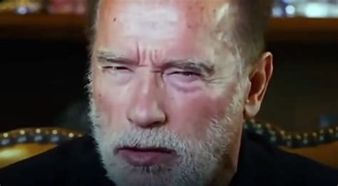 VIDEO El Duro Mensaje De Arnold Schwarzenegger A Vladimir Putin